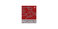 Pegasus Personalmanagement UG-Logo