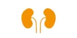 Urologie Frohnau